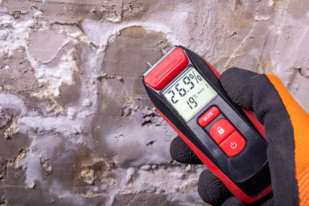 Best Air Quality Testing for Mold Spores  in Columbus, MT